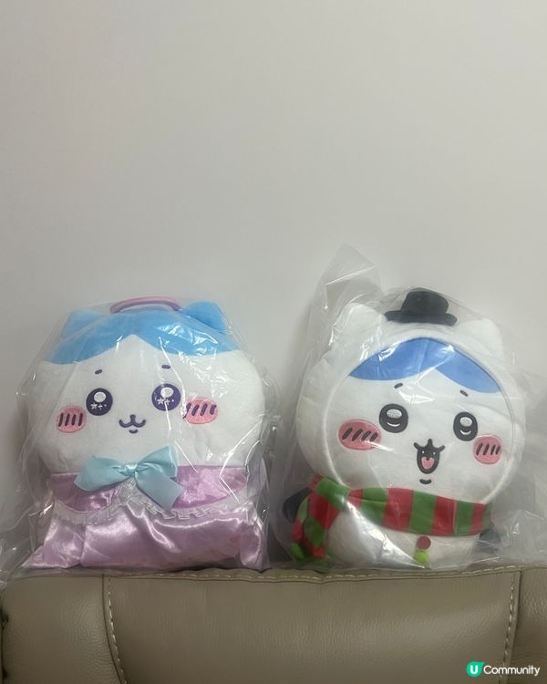 小八雖然細細粒，但佢嘅正能量簡直係無限，令我心情都變好！#C...