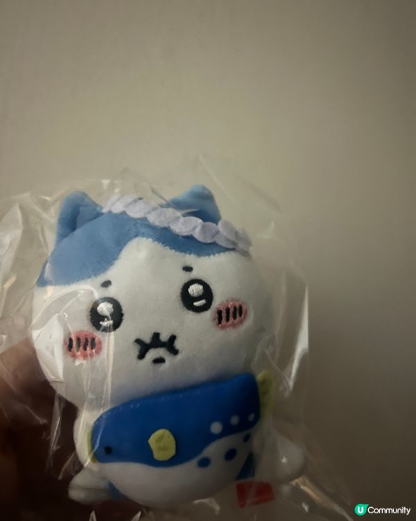 Usagi成日亂咁玩，好似完全冇煩惱，令我好想變成佢咁自由！...