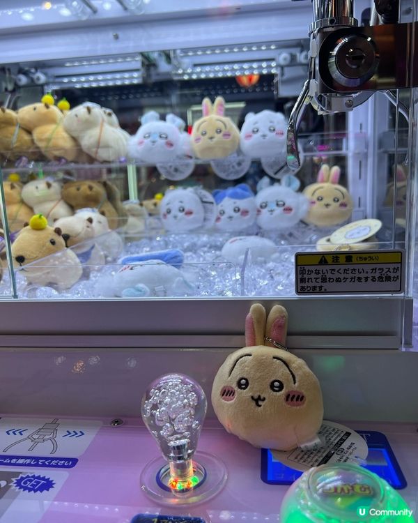 Usagi成日嗌『嗚啦』，搞到我有時都忍唔住跟住講埋，好洗腦...