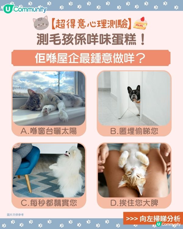 【🐶毛孩專屬心理測驗🐱】測您主子係咩口味嘅蛋糕🍰！