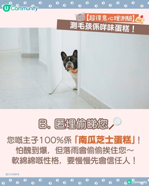 【🐶毛孩專屬心理測驗🐱】測您主子係咩口味嘅蛋糕🍰！