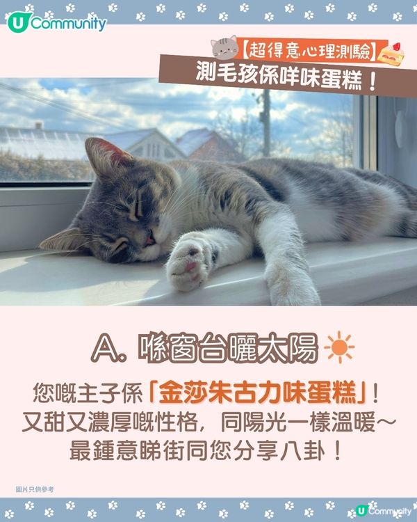 【🐶毛孩專屬心理測驗🐱】測您主子係咩口味嘅蛋糕🍰！