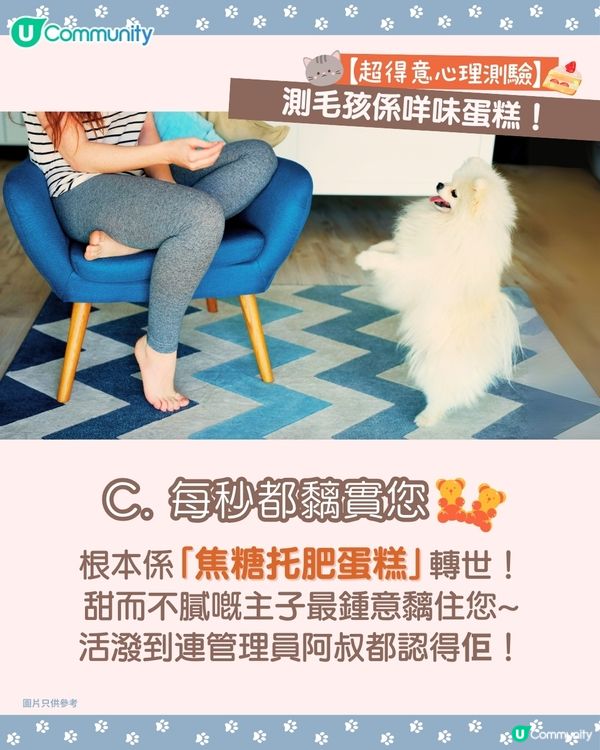 【🐶毛孩專屬心理測驗🐱】測您主子係咩口味嘅蛋糕🍰！