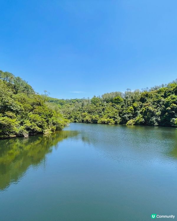 行山必去景點，大埔行去九龍坑山，原途上山雖然多梯級，但風景好...