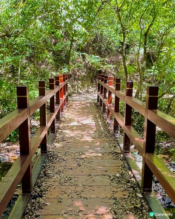 行山必去景點，大埔行去九龍坑山，原途上山雖然多梯級，但風景好...