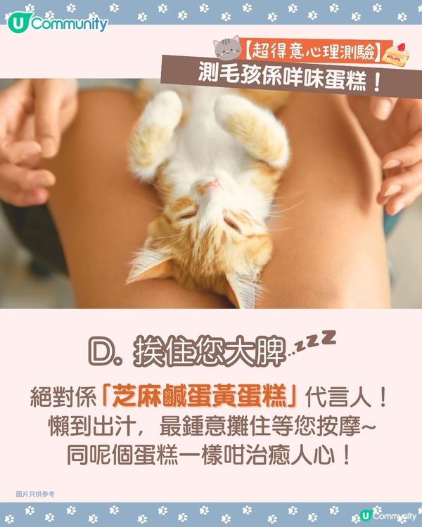 【🐶毛孩專屬心理測驗🐱】測您主子係咩口味嘅蛋糕🍰！