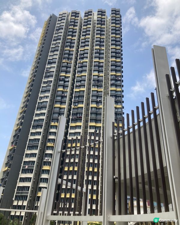 我們的公共屋邨