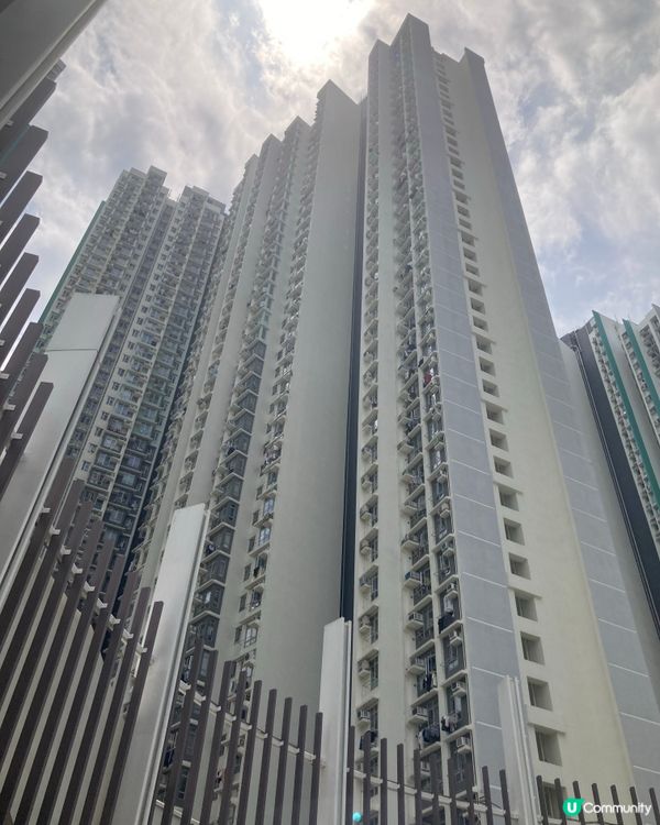 我們的公共屋邨