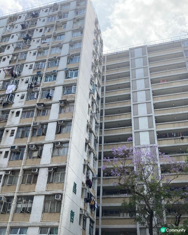 我們的公共屋邨