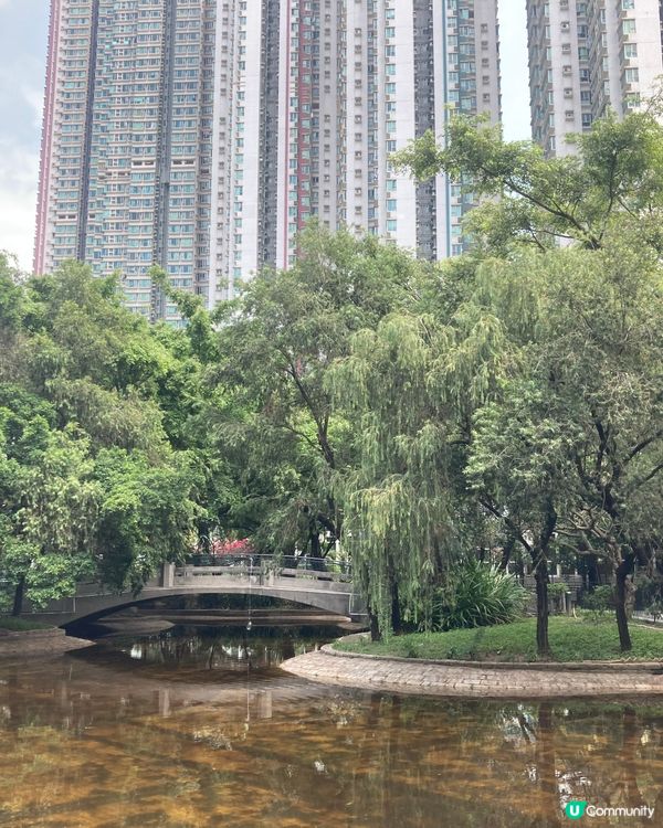 我們的公共屋邨