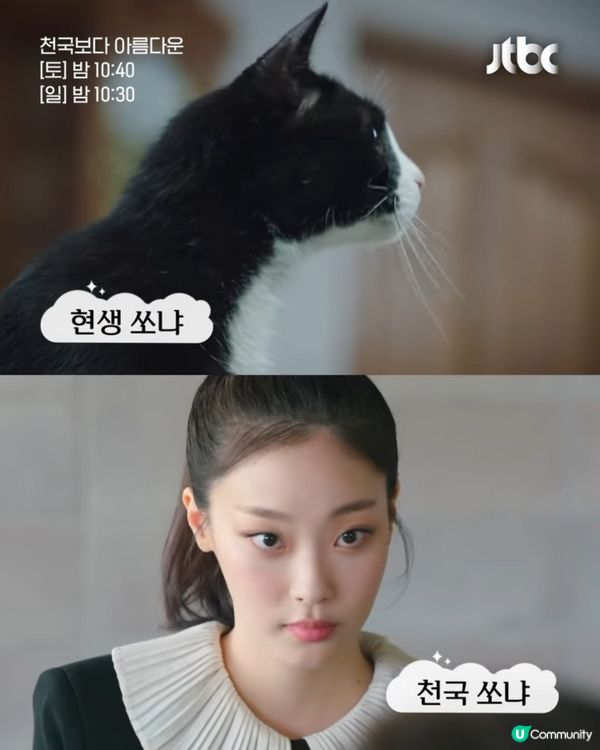 《比天堂還美麗》首播至今穩居Netfilx榜第1位！國寶級影后金惠子超強演技