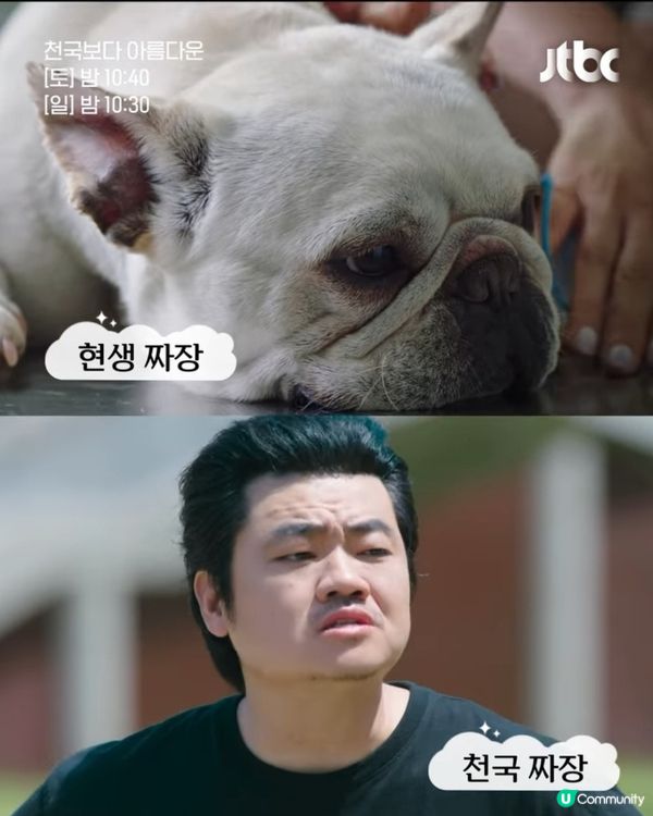 《比天堂還美麗》首播至今穩居Netfilx榜第1位！國寶級影后金惠子超強演技