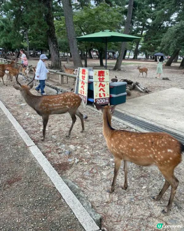 #Chill嘆酒店旅人祭  #別要再蝨眠