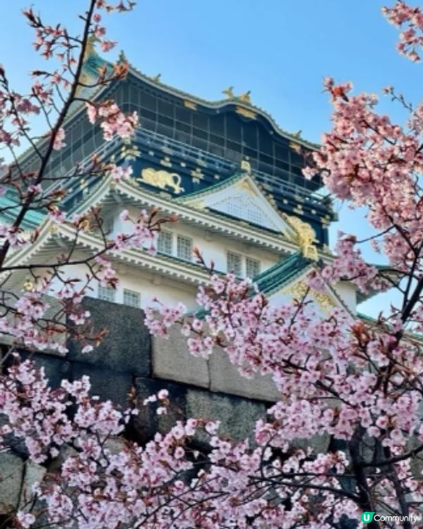 #Chill嘆酒店旅人祭  #別要再蝨眠