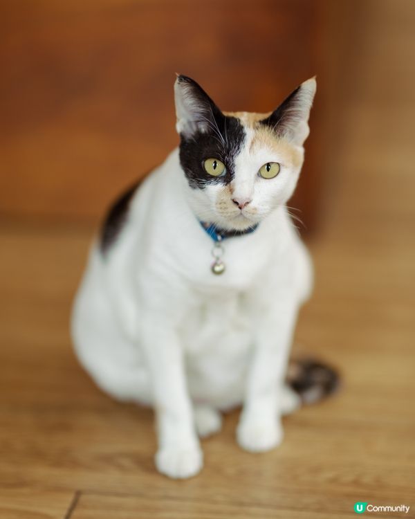 行路無聲，成日比佢嚇親。#主子SPATime