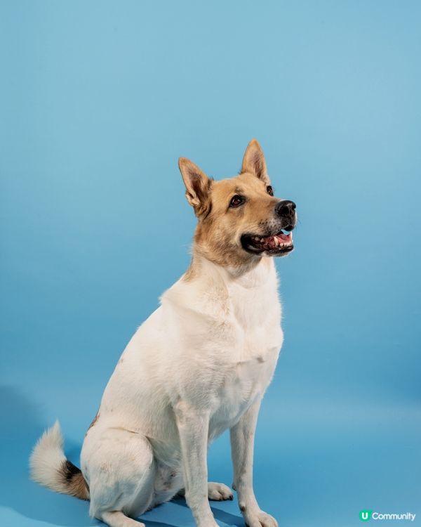 嗅花嗰陣個樣超溫柔，好似懂得欣賞大自然！#主子SPATime