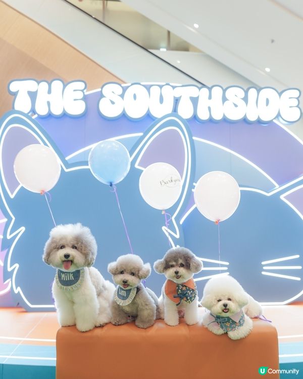 🐶🐱 夏日消暑好去處！新商場玩轉寵物市集 🎉