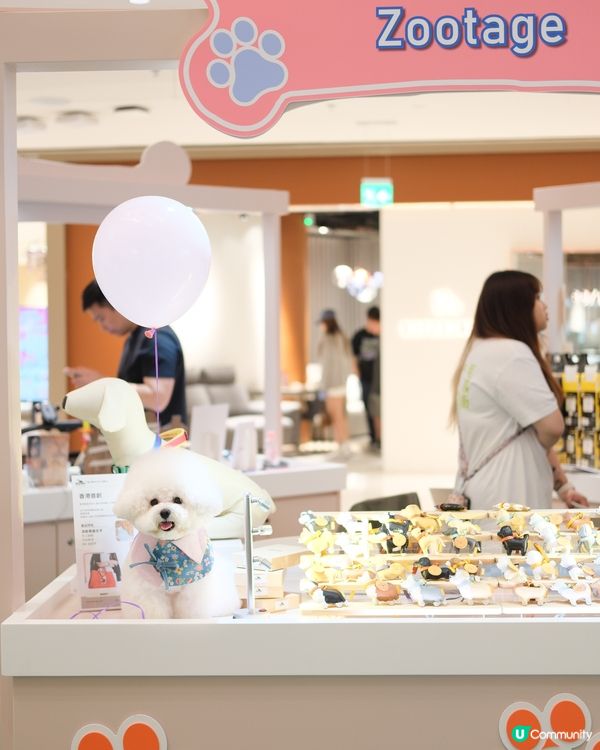 🐶🐱 夏日消暑好去處！新商場玩轉寵物市集 🎉