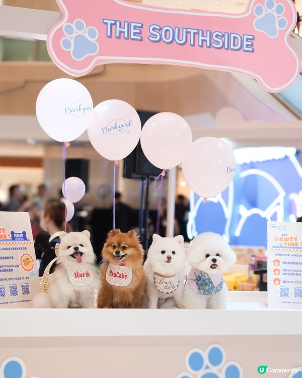 🐶🐱 夏日消暑好去處！新商場玩轉寵物市集 🎉