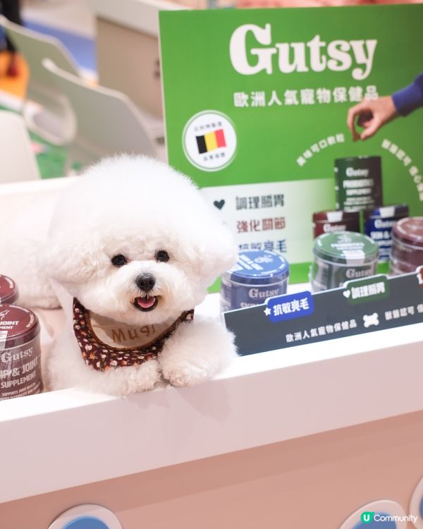 🐶🐱 夏日消暑好去處！新商場玩轉寵物市集 🎉