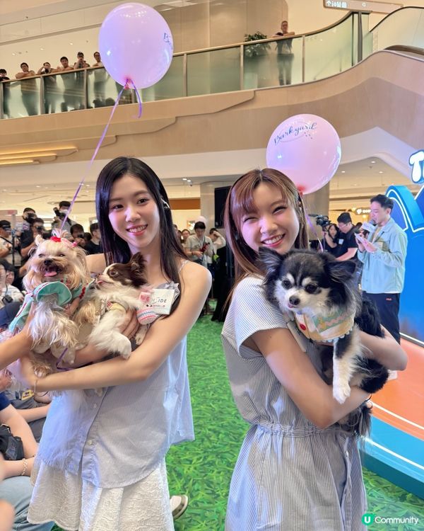 之前復活節假期好豐富呀🥕