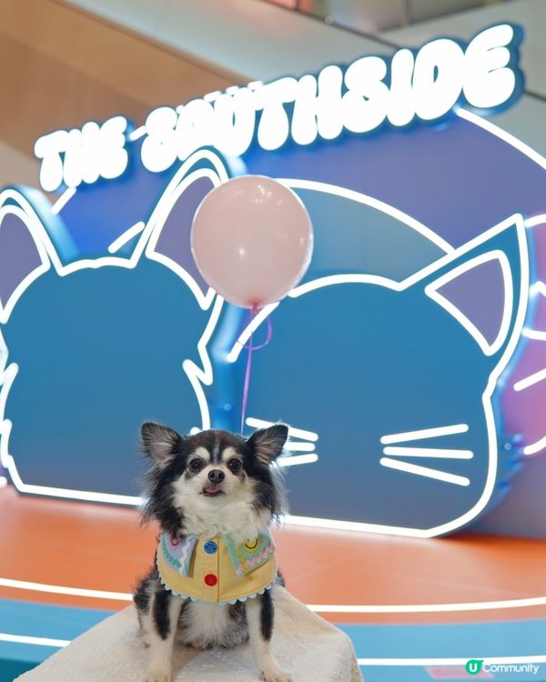 之前復活節假期好豐富呀🥕