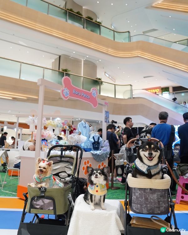 之前復活節假期好豐富呀🥕