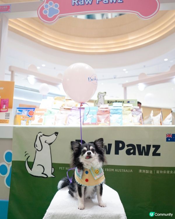 之前復活節假期好豐富呀🥕