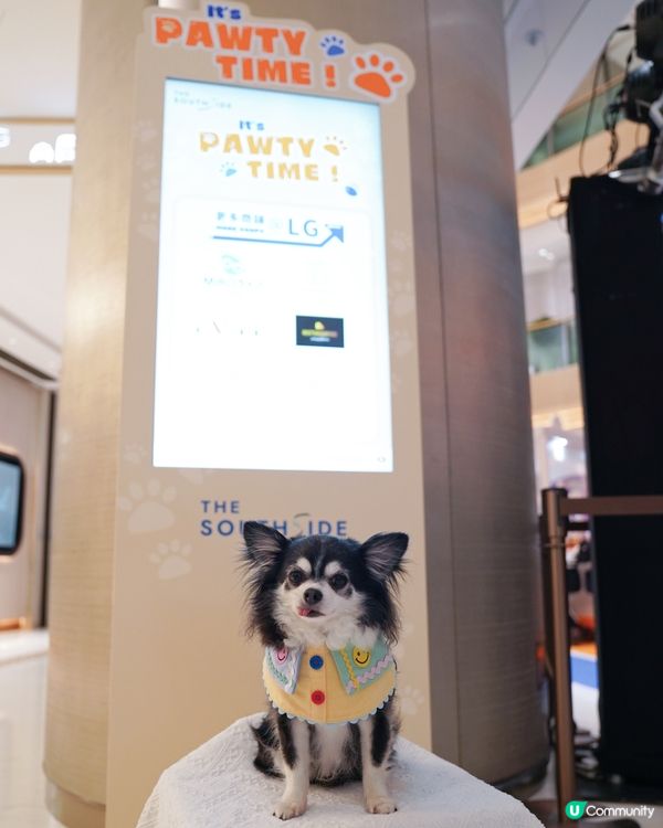 之前復活節假期好豐富呀🥕