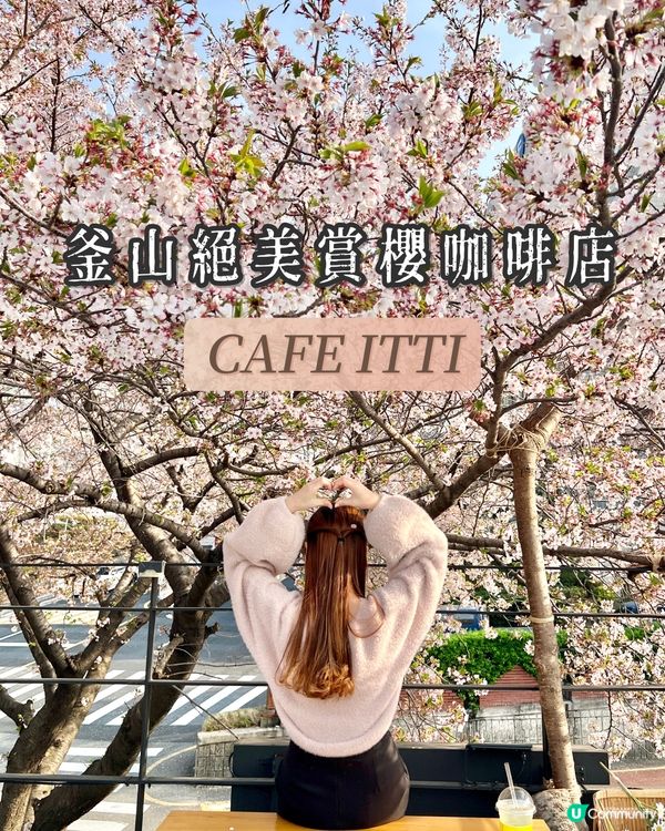 《釜山必去賞櫻咖啡店 絕美打卡位🌸》