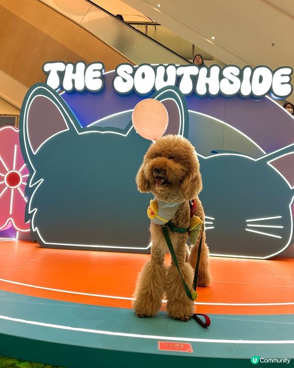 🐶🐱  今個星期去呢度玩啦！