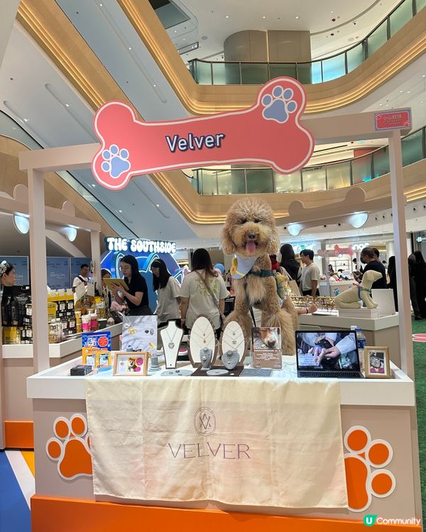 🐶🐱  今個星期去呢度玩啦！