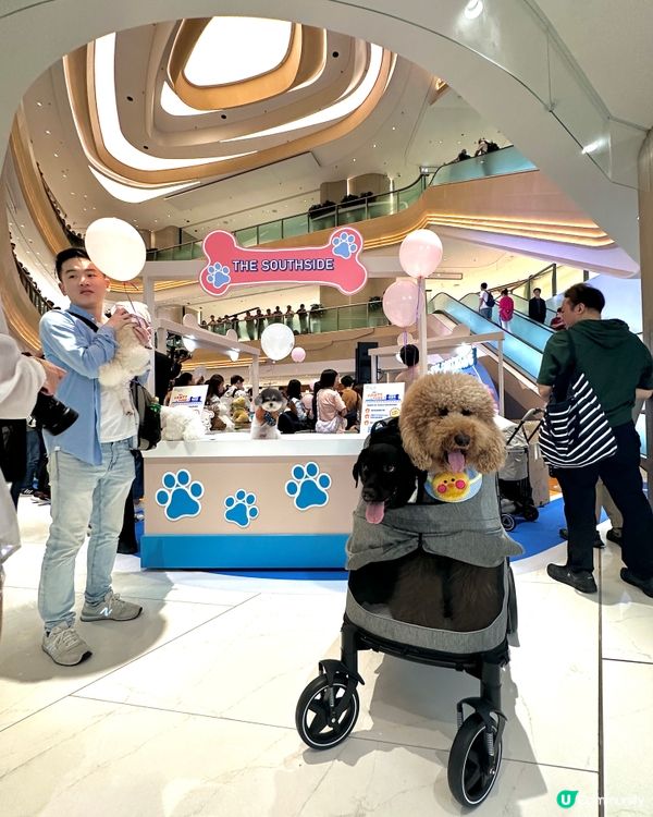 🐶🐱  今個星期去呢度玩啦！