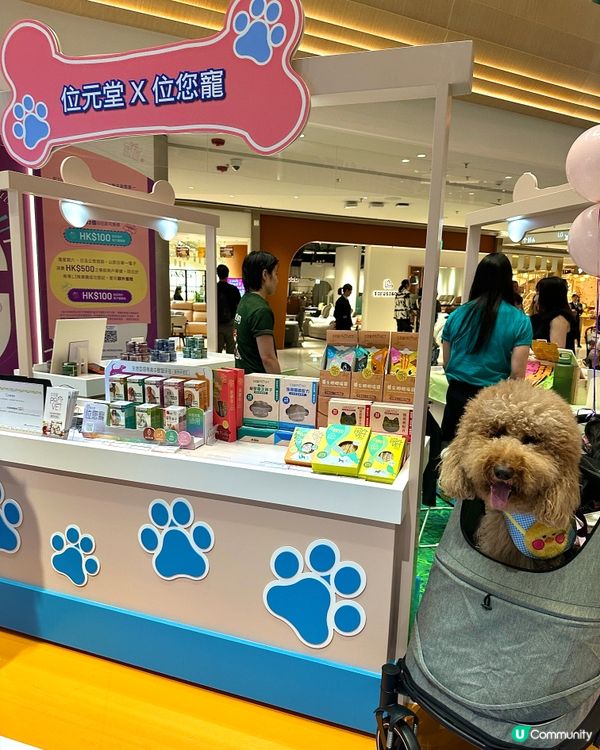 🐶🐱  今個星期去呢度玩啦！