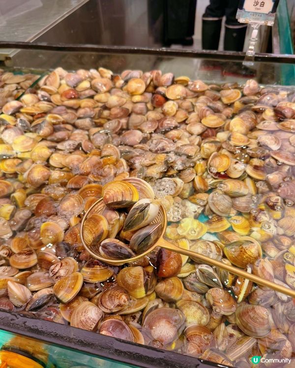 任食海鮮火鍋放題喲❤️