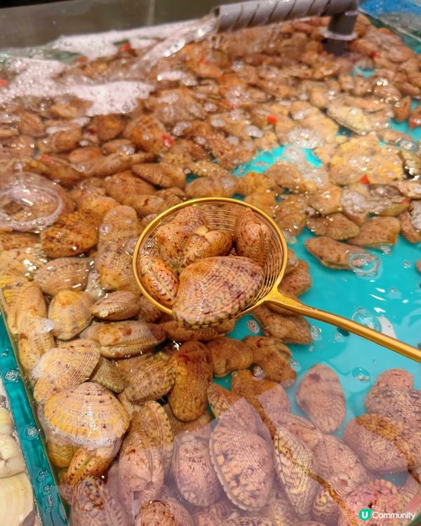 任食海鮮火鍋放題喲❤️