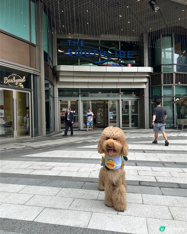 🐶🐱  今個星期去呢度玩啦！