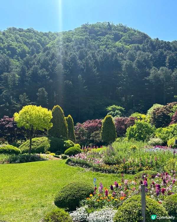 💐🌷《首爾篇🇰🇷 · 靚景晨靜樹木園》🌷💐