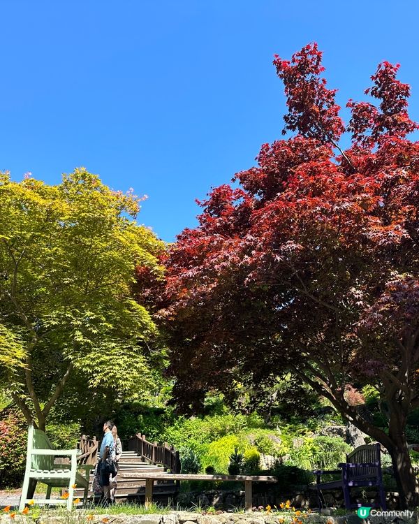 💐🌷《首爾篇🇰🇷 · 靚景晨靜樹木園》🌷💐