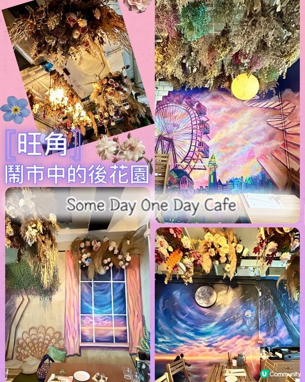 🌸浪漫滿分Cafe💯走過十萬八千里找到你💕