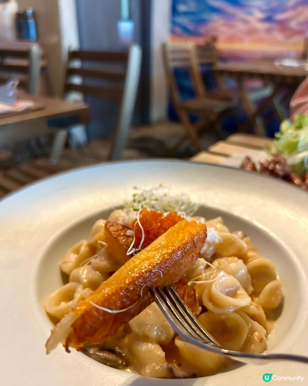 🌸浪漫滿分Cafe💯走過十萬八千里找到你💕