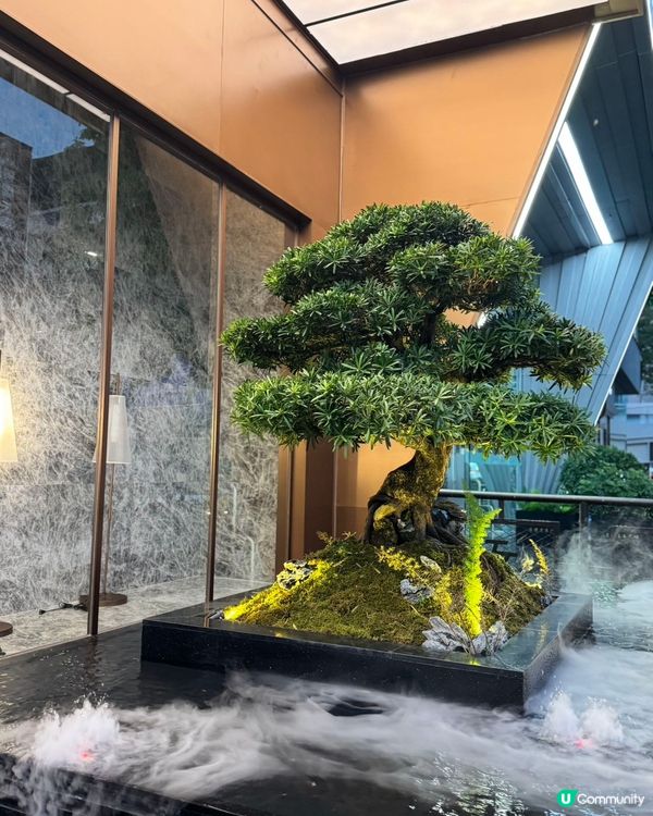 羅湖新開養生勝地🤫 富泰印象，一站式放鬆！