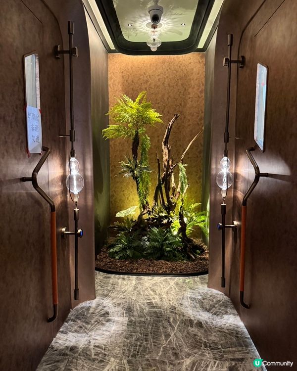 羅湖新開養生勝地🤫 富泰印象，一站式放鬆！