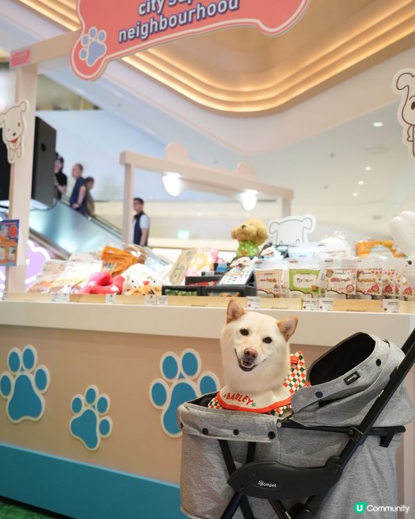 港島寵物好去處