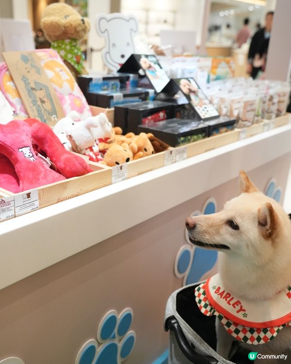 港島寵物好去處