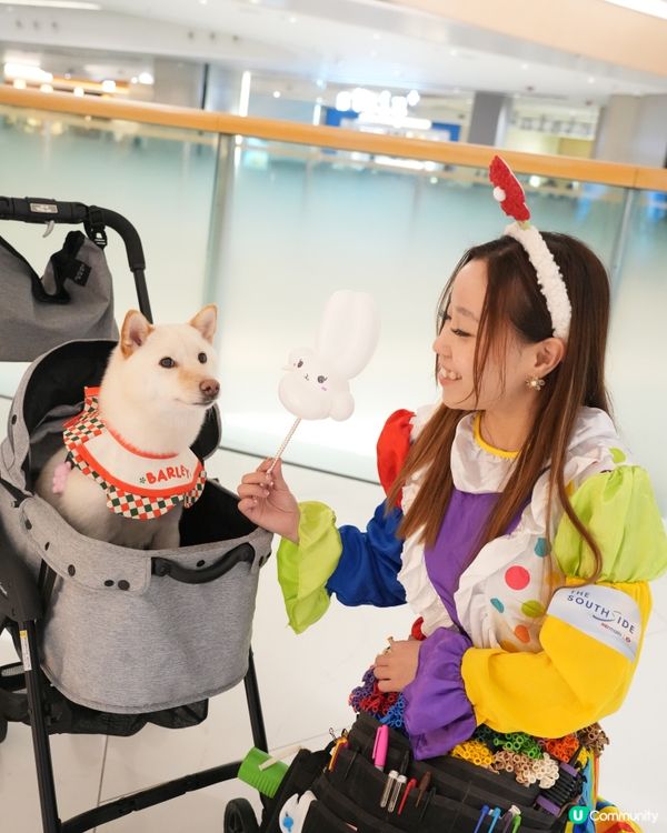 港島寵物好去處