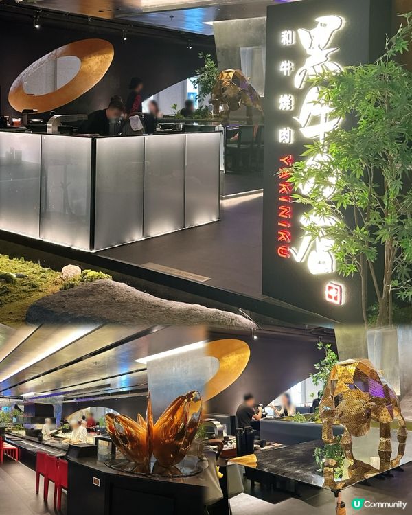 🥩🔥 黑毛和牛燒肉天堂！金鳳凰和牛任你食！