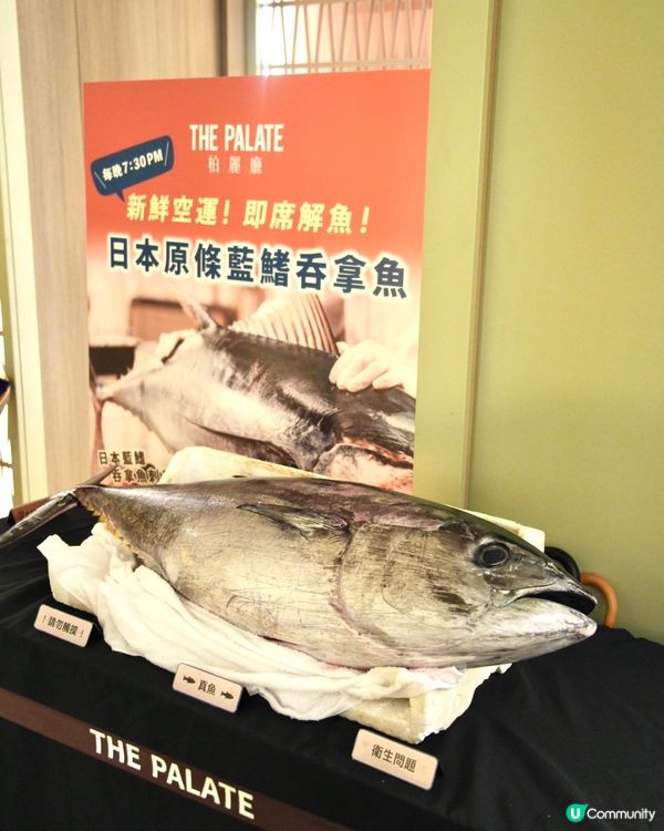 原條呑拿魚超正！慶生一流性價比好高自助餐