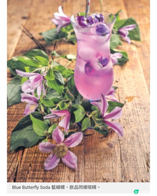 Tomacado花廚繁花中的7道菜饗宴