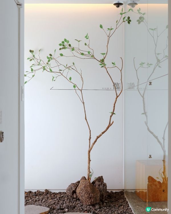 景福宮附近大型禪風咖啡店！店內居然有小火山？